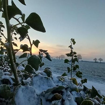 Glinstedt Zum Kranichblick 아파트 외부 사진